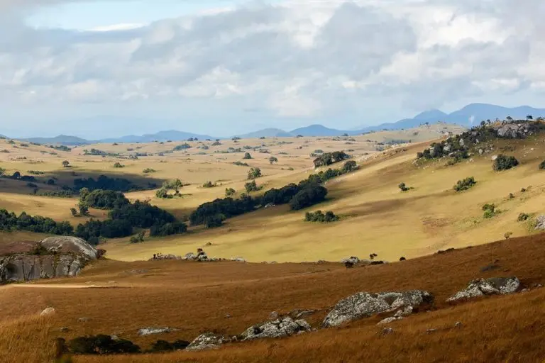 Nyika Plateau Malawi